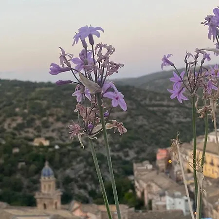 Apartmán Super Giu Ragusa